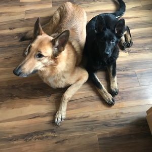 Meet your Posher, Ruth